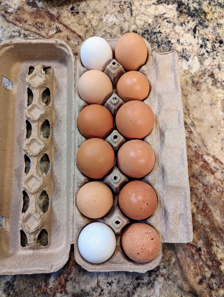 Farm Fresh Eggs | Free-Range, Local Eggs | Buy Fresh Farm Eggs Online