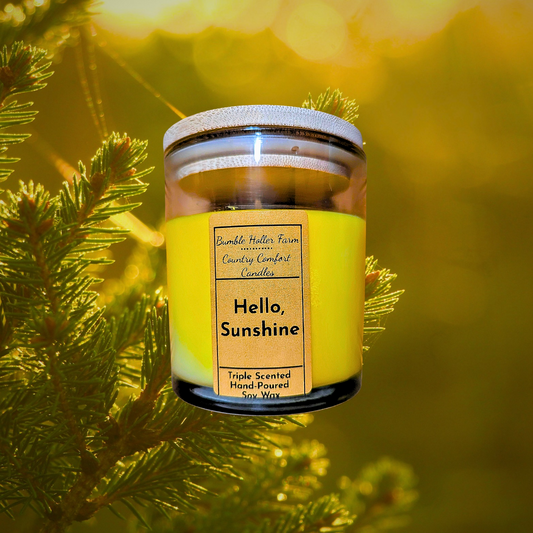 Hello, Sunshine! Handmade Soy Candle | Handcrafted Wax Melts
