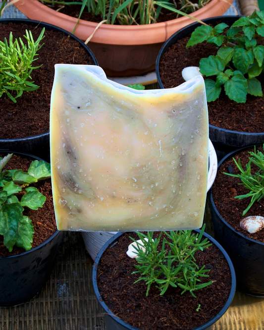 Patchouli Mint Tallow Soap