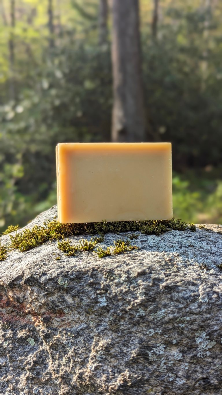 Handmade Birch Bark Soap
