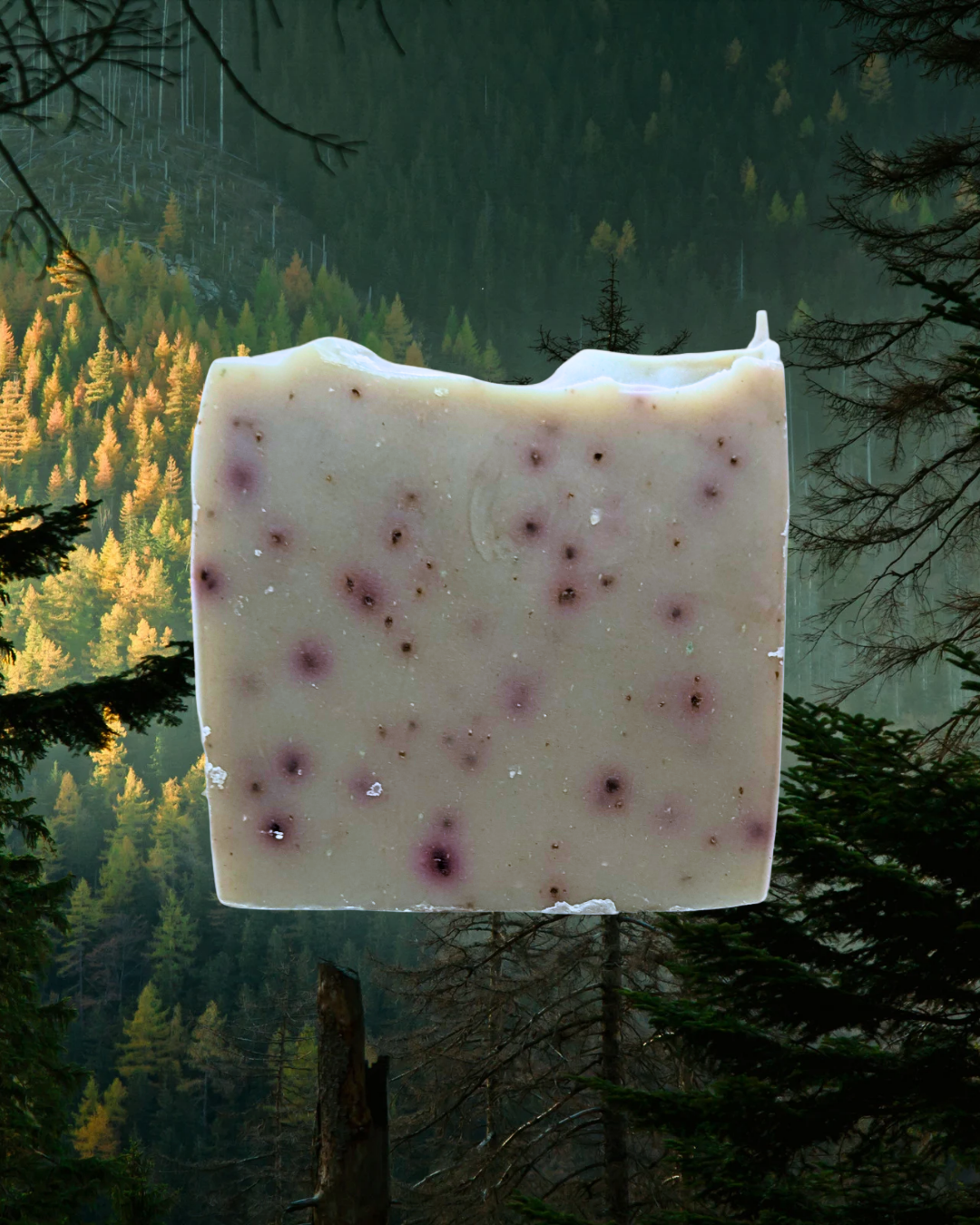 Mountain Pine Tallow Soap